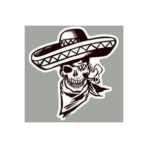 100431 - VW Skull Cap