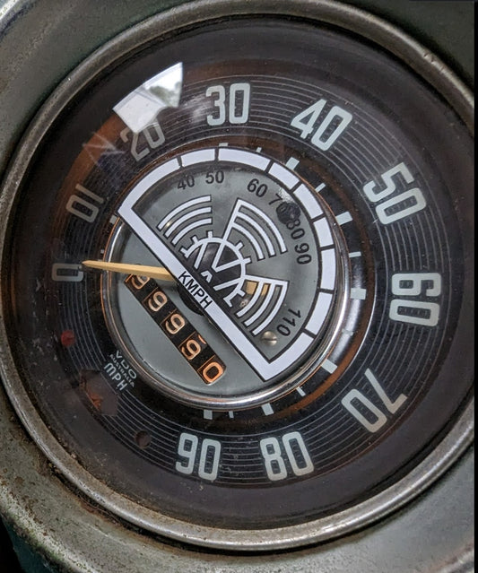 100456 - Speedo C Sticker