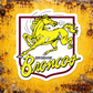100038 - Brisbane Broncos