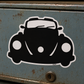 100281 - Beetle Front