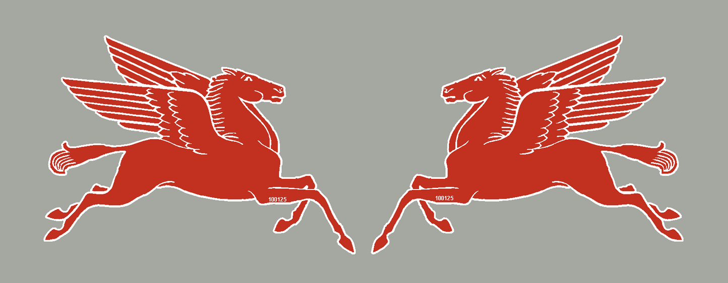 100125 - Pegasus Pair