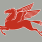 100125 - Pegasus Pair